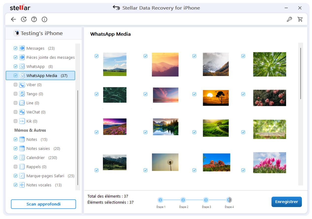 Sélectionnez les données que vous souhaitez enregistrer